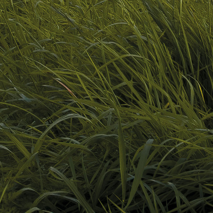 Digitaldruck Vlies Fototapete | Dolomitentraum | 450 x 280 cm