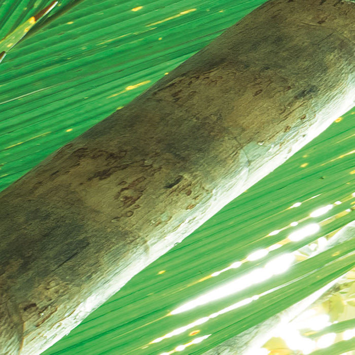 Digitaldruck Vlies Fototapete | Dschungeldach II | 450 x 280 cm