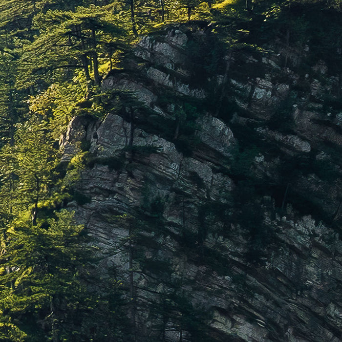 Digitaldruck Vlies Fototapete | Elbenpforte | 450 x 280 cm