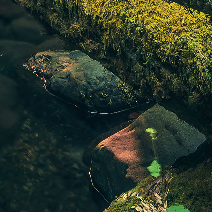 Digitaldruck Vlies Fototapete | Elves Cathedral | 450 x 280 cm