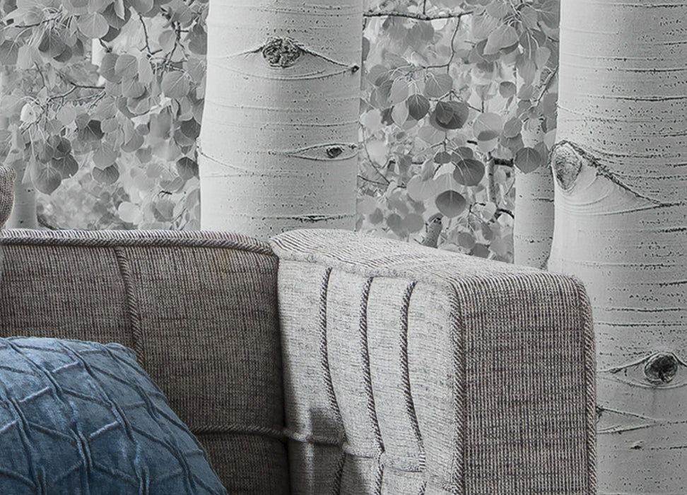 Digitaldruck Vlies Fototapete | Espenwald | 450 x 280 cm