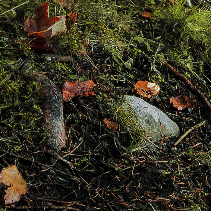 Digitaldruck Vlies Fototapete | Feuerzungen | 450 x 280 cm