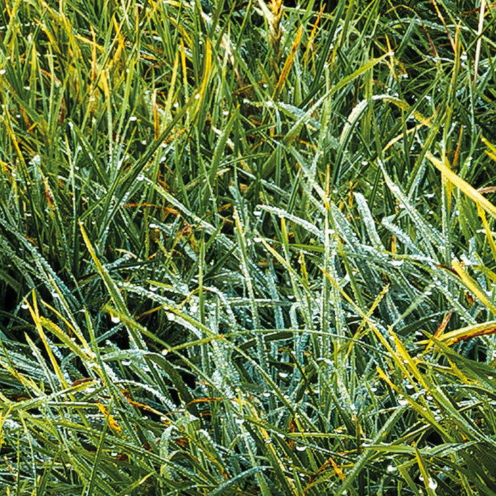 Digitaldruck Vlies Fototapete | Himmlisch | 450 x 280 cm