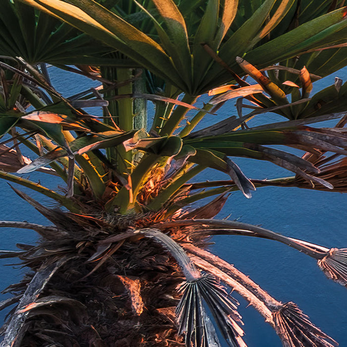 Digitaldruck Vlies Fototapete | Island Paradise | 450 x 280 cm
