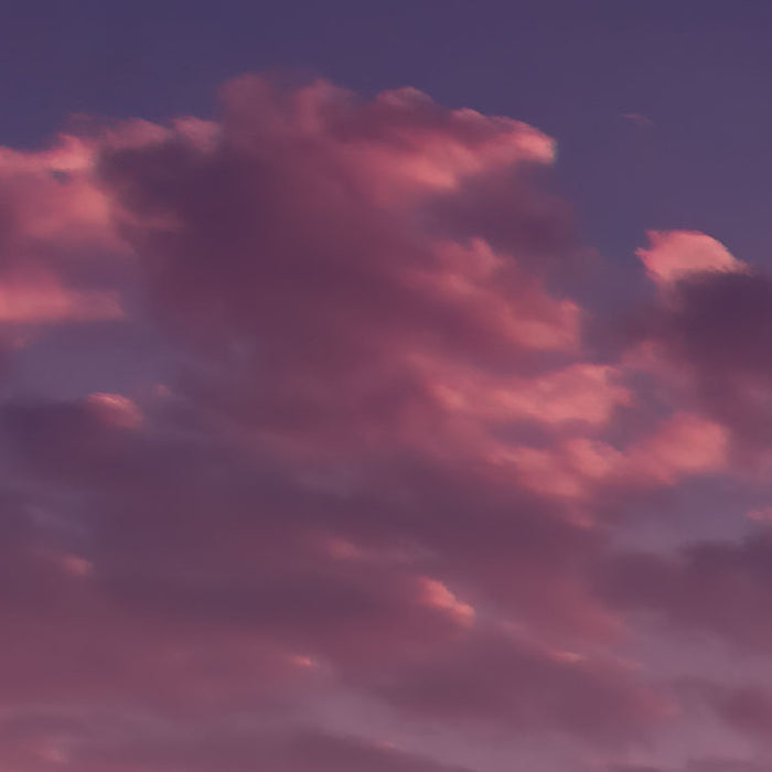 Digitaldruck Vlies Fototapete | Lavender Dream | 450 x 280 cm