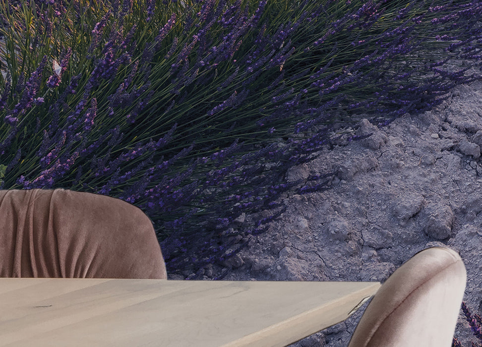 Digitaldruck Vlies Fototapete | Lavender Dream | 450 x 280 cm