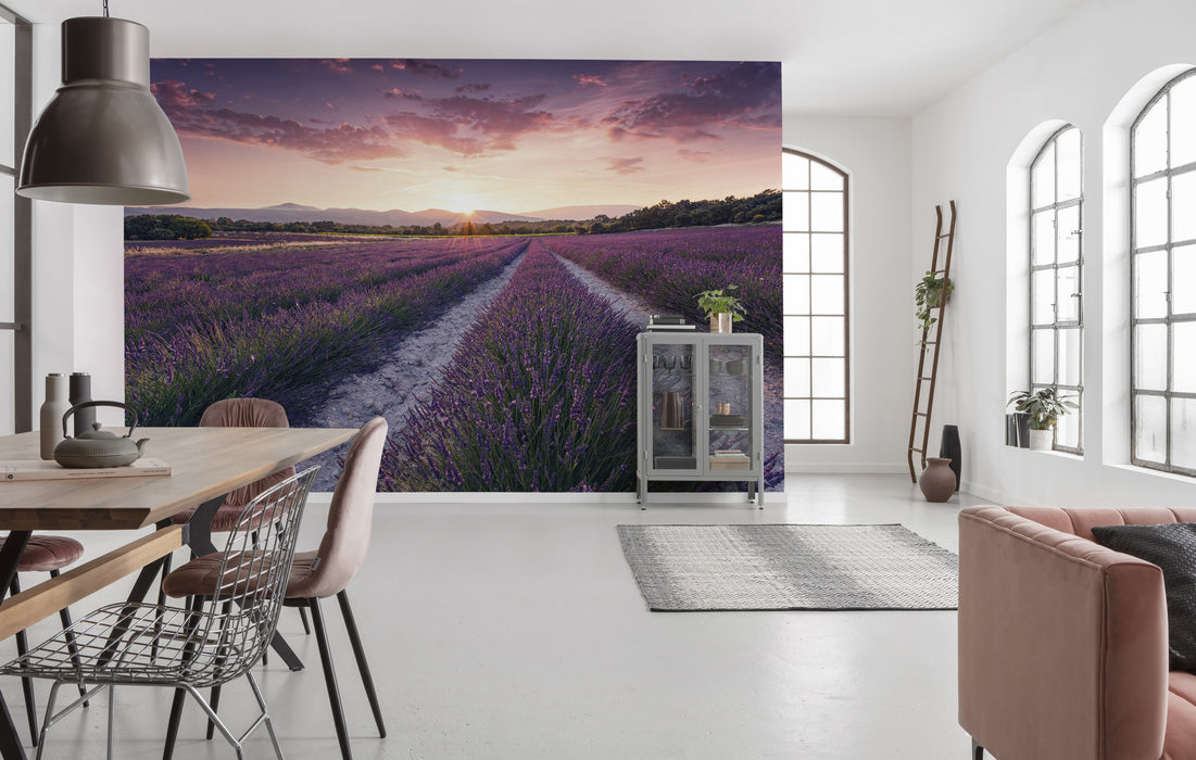 Digitaldruck Vlies Fototapete | Lavender Dream | 450 x 280 cm