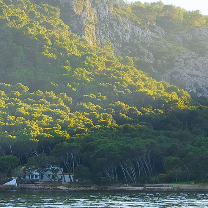 Digitaldruck Vlies Fototapete | Lonely Paradise | 450 x 280 cm