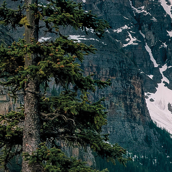 Digitaldruck Vlies Fototapete | Magic Moraine Morning | 450 x 280 cm