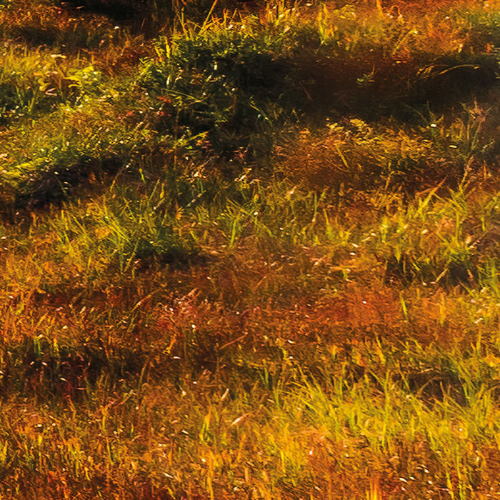 Digitaldruck Vlies Fototapete | Norwegische Herbstwelten | 450 x 280 cm