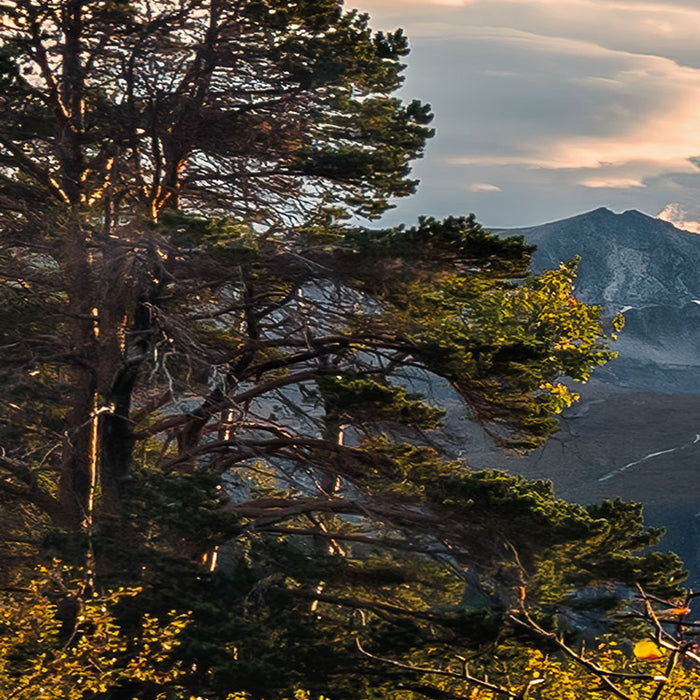 Digitaldruck Vlies Fototapete | Norwegische Herbstwelten | 450 x 280 cm