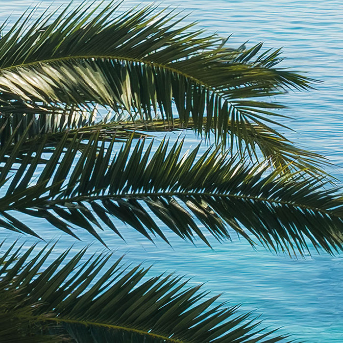 Digitaldruck Vlies Fototapete | Paradise View | 450 x 280 cm