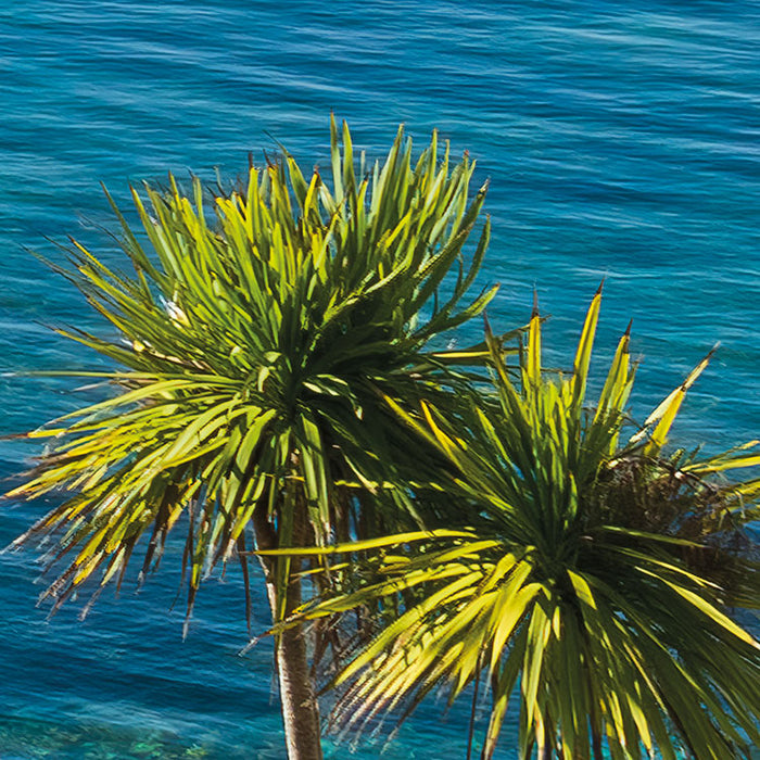 Digitaldruck Vlies Fototapete | Paradise View | 450 x 280 cm