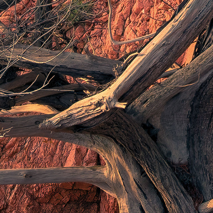 Komar NEU | Digitaldruck Vlies Fototapete - Paradiso II - Größe 450 x 280 cm