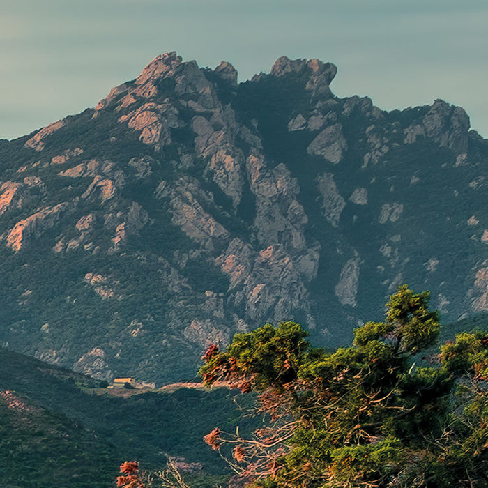Komar NEU | Digitaldruck Vlies Fototapete - Paradiso II - Größe 450 x 280 cm