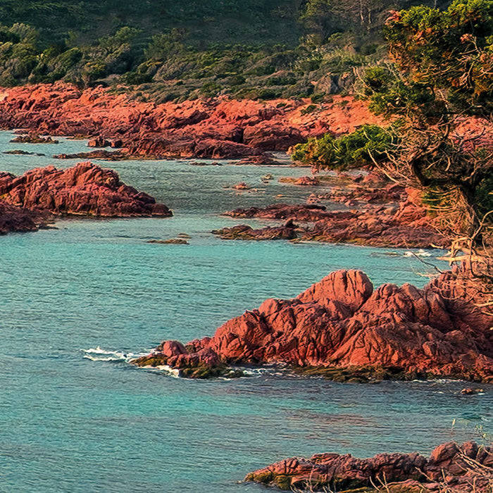 Komar NEU | Digitaldruck Vlies Fototapete - Paradiso II - Größe 450 x 280 cm
