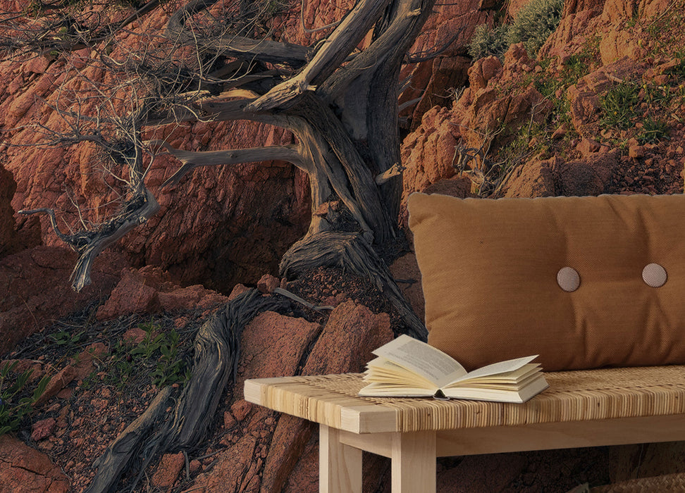 Komar NEU | Digitaldruck Vlies Fototapete - Paradiso II - Größe 450 x 280 cm