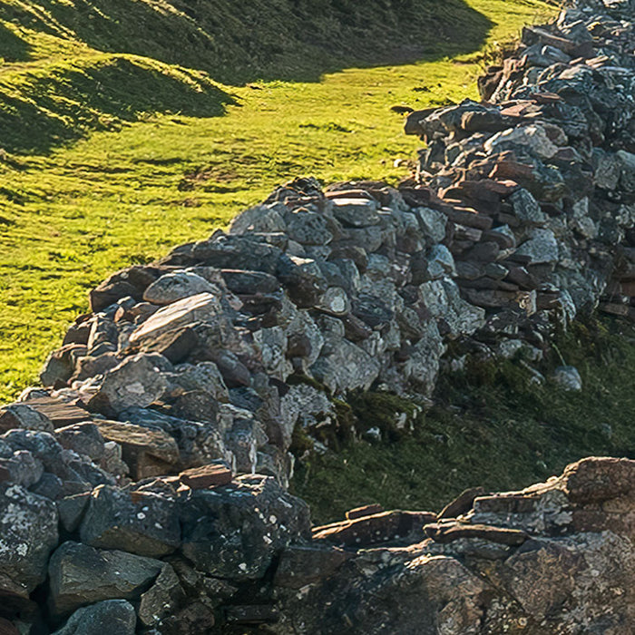 Digitaldruck Vlies Fototapete | Picos de Europe Alm | 450 x 280 cm
