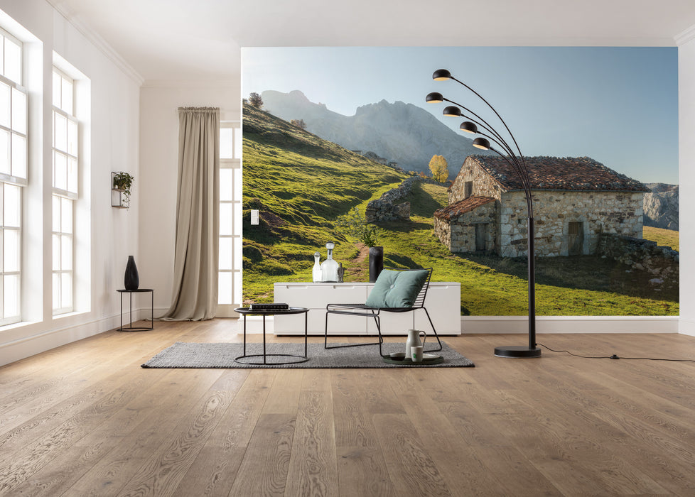 Digitaldruck Vlies Fototapete | Picos de Europe Alm | 450 x 280 cm