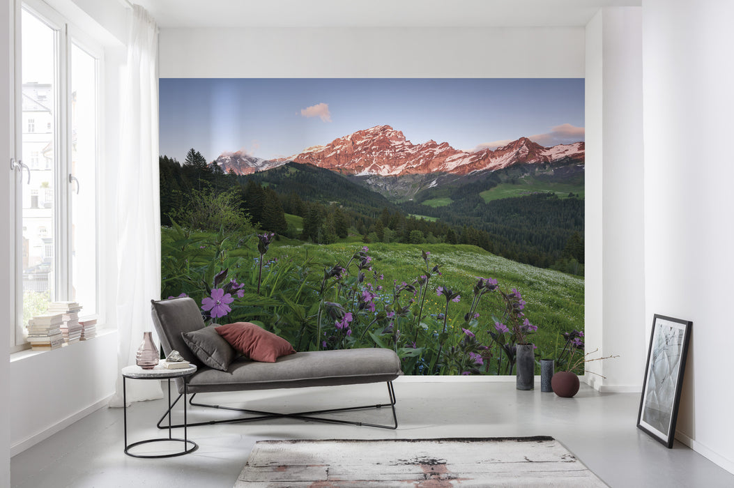 Digitaldruck Vlies Fototapete | Picturesque Switzerland | 450 x 280 cm