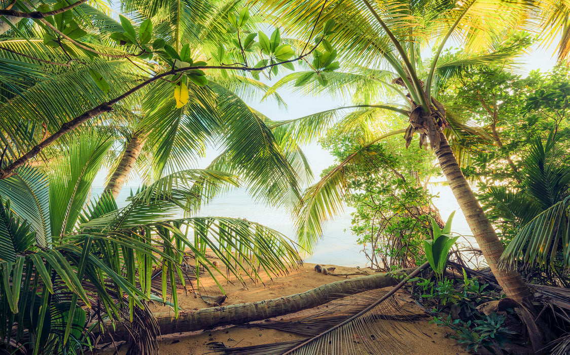 Digitaldruck Vlies Fototapete | Piratenversteck | 450 x 280 cm