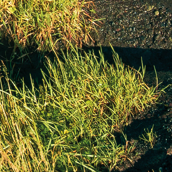 Digitaldruck Vlies Fototapete | Power of Iceland | 450 x 280 cm