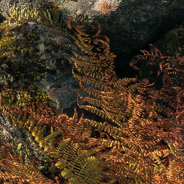 Digitaldruck Vlies Fototapete | Pure Norway | 450 x 280 cm