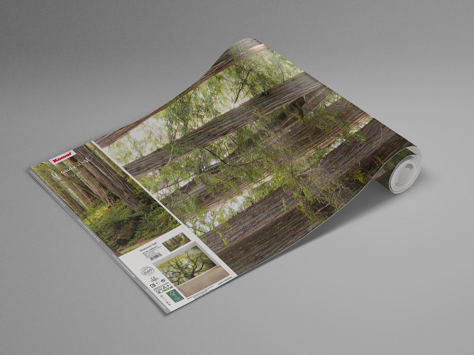 Digitaldruck Vlies Fototapete | Redwood Trail | 450 x 280 cm