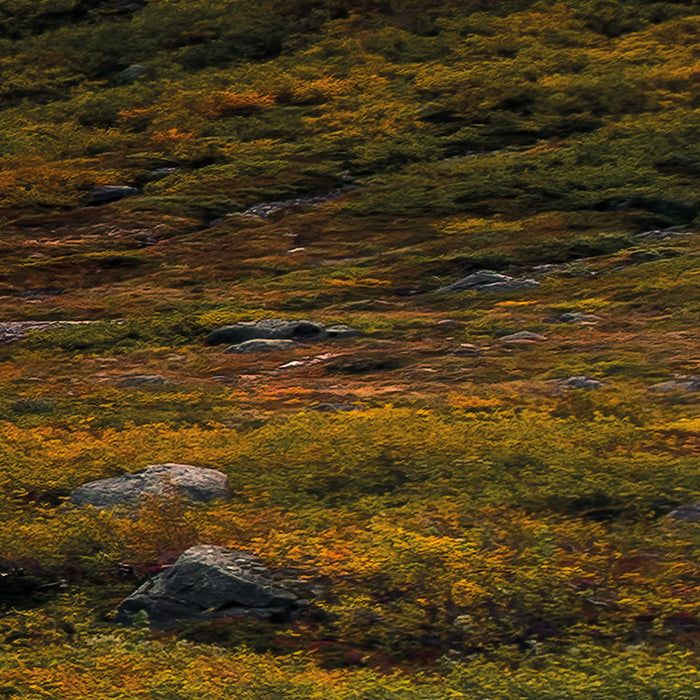 Digitaldruck Vlies Fototapete | Schroffes Paradies | 450 x 280 cm