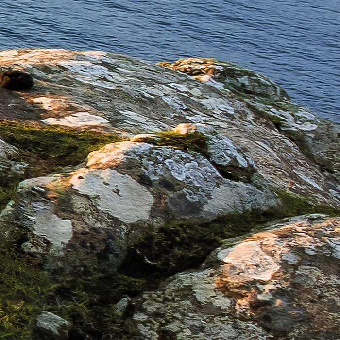 Digitaldruck Vlies Fototapete | Scottish Paradise | 450 x 280 cm