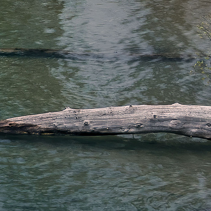 Digitaldruck Vlies Fototapete | Spirit Island | 450 x 280 cm