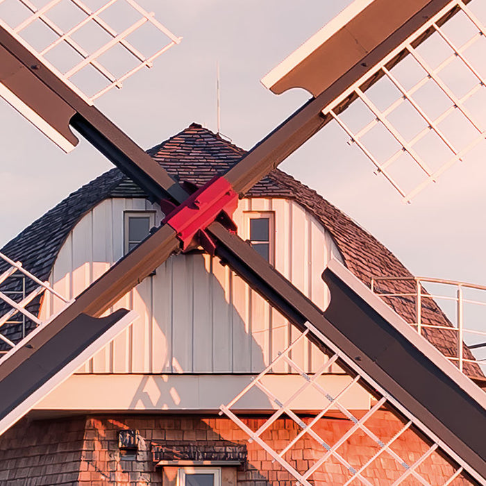 Digitaldruck Vlies Fototapete | Tage wie Diese | 450 x 280 cm