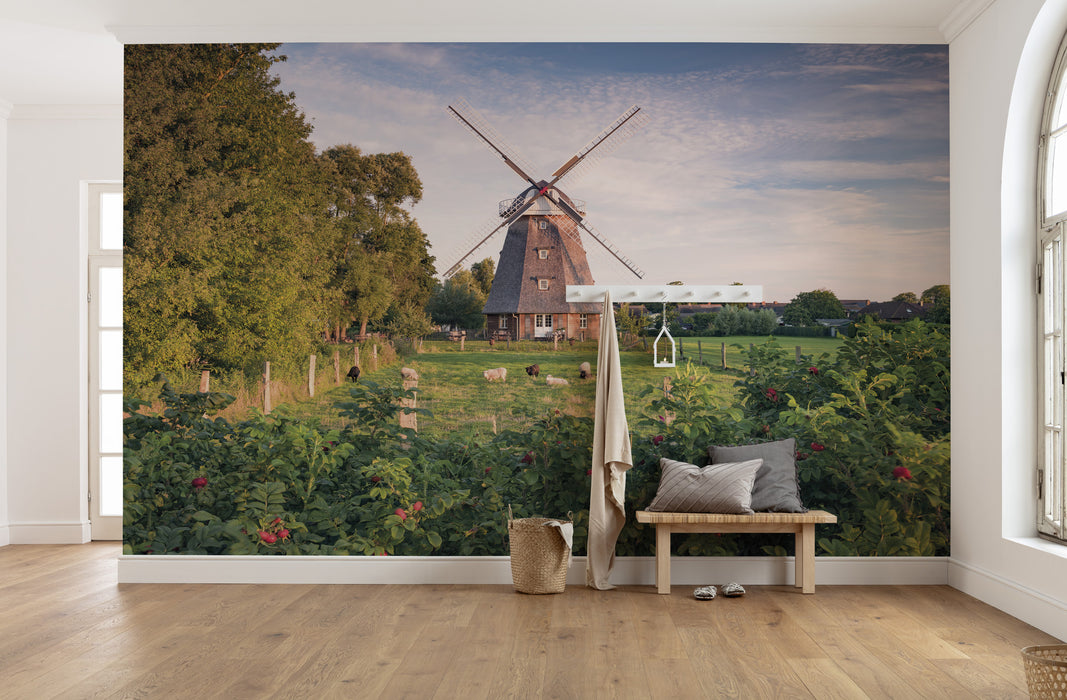 Digitaldruck Vlies Fototapete | Tage wie Diese | 450 x 280 cm