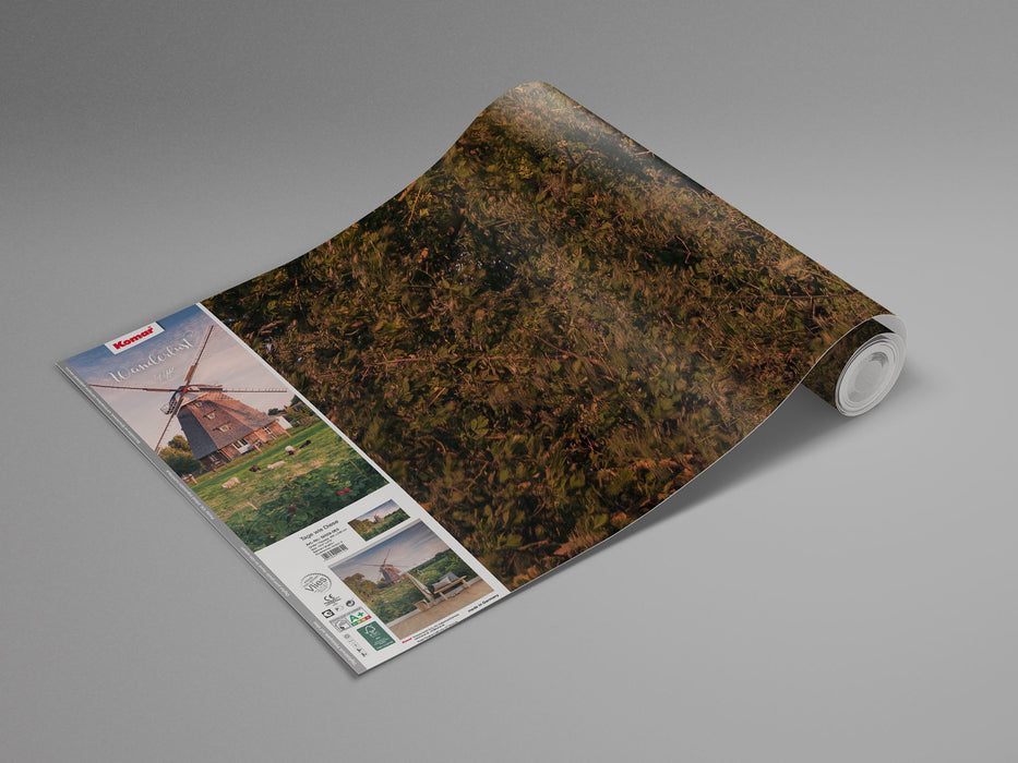 Digitaldruck Vlies Fototapete | Tage wie Diese | 450 x 280 cm