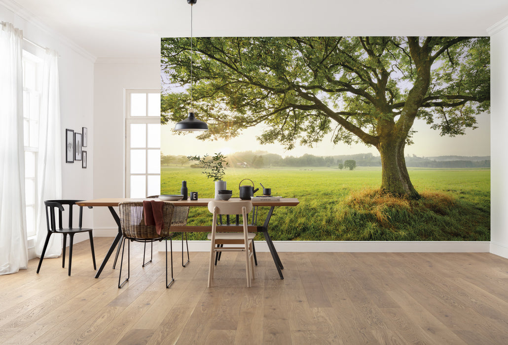 Digitaldruck Vlies Fototapete | The Magic Tree | 450 x 280 cm