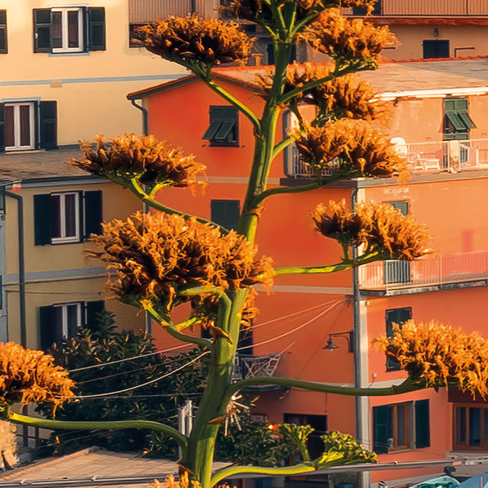 Digitaldruck Vlies Fototapete | The picturesque Village | 450 x 280 cm