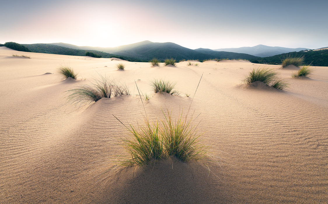 Digitaldruck Vlies Fototapete | Vivid Dunes