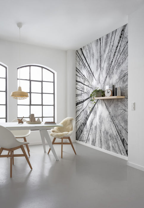 Digitaldruck Vlies Fototapete | Weiss | Blau | 450 x 280 cm