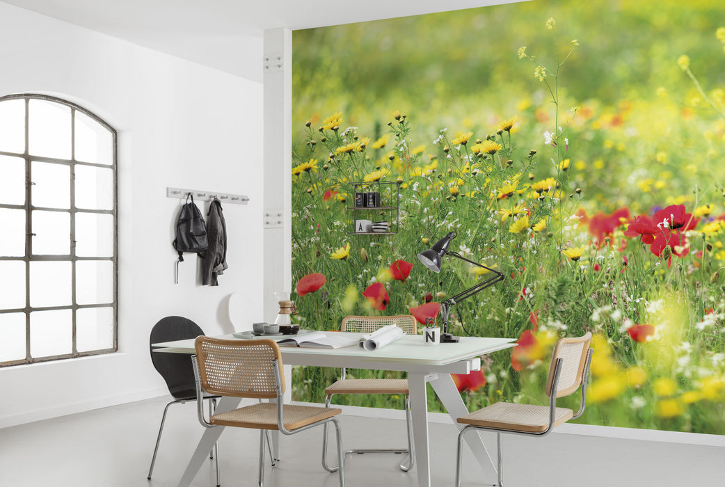 Digitaldruck Vlies Fototapete | Wiesenzauber II | 450 x 280 cm