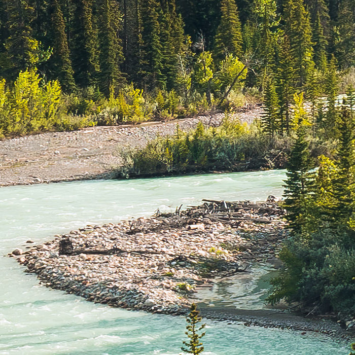 Digitaldruck Vlies Fototapete | Wild Canada | 450 x 280 cm