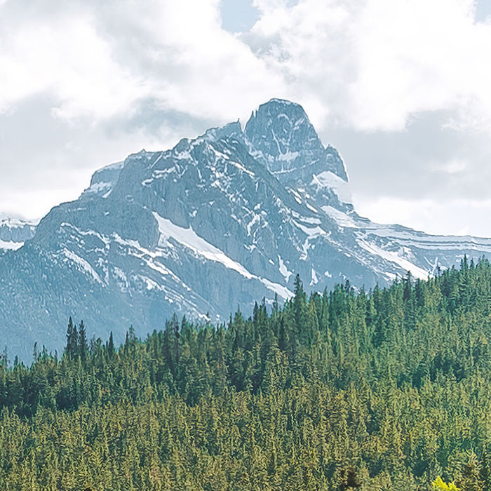 Digitaldruck Vlies Fototapete | Wild Canada | 450 x 280 cm