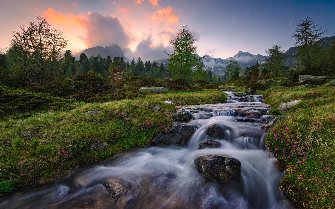 Digitaldruck Vlies Fototapete | Wild Paradise | 450 x 280 cm