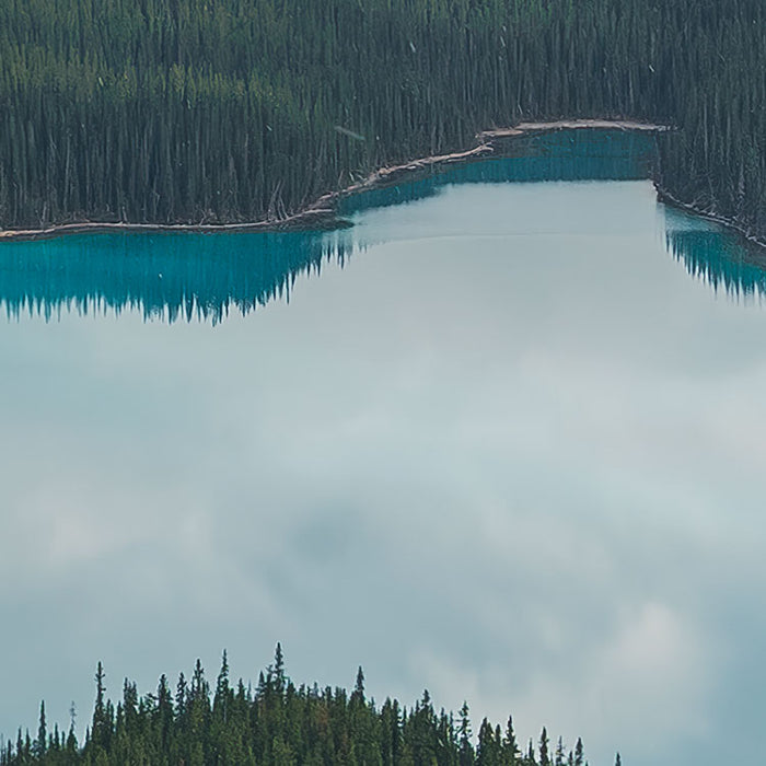 Digitaldruck Vlies Fototapete | Wonderland Canada | 450 x 280 cm