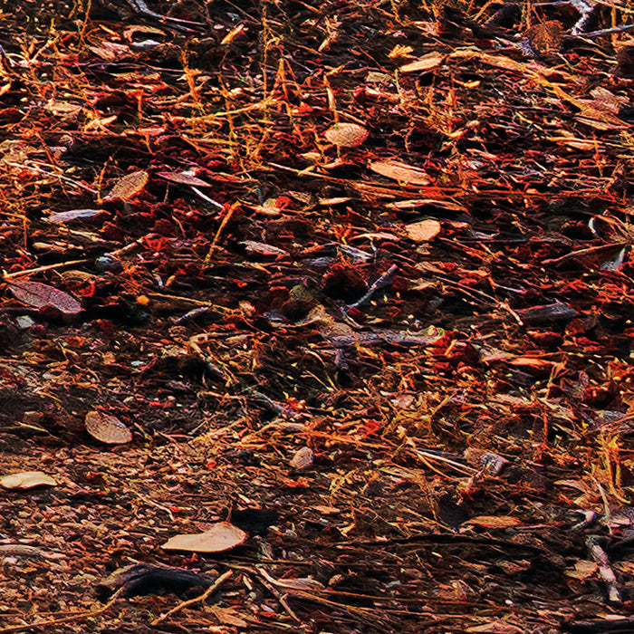 Digitaldruck Vlies Fototapete | Yosemites Secret | 450 x 280 cm