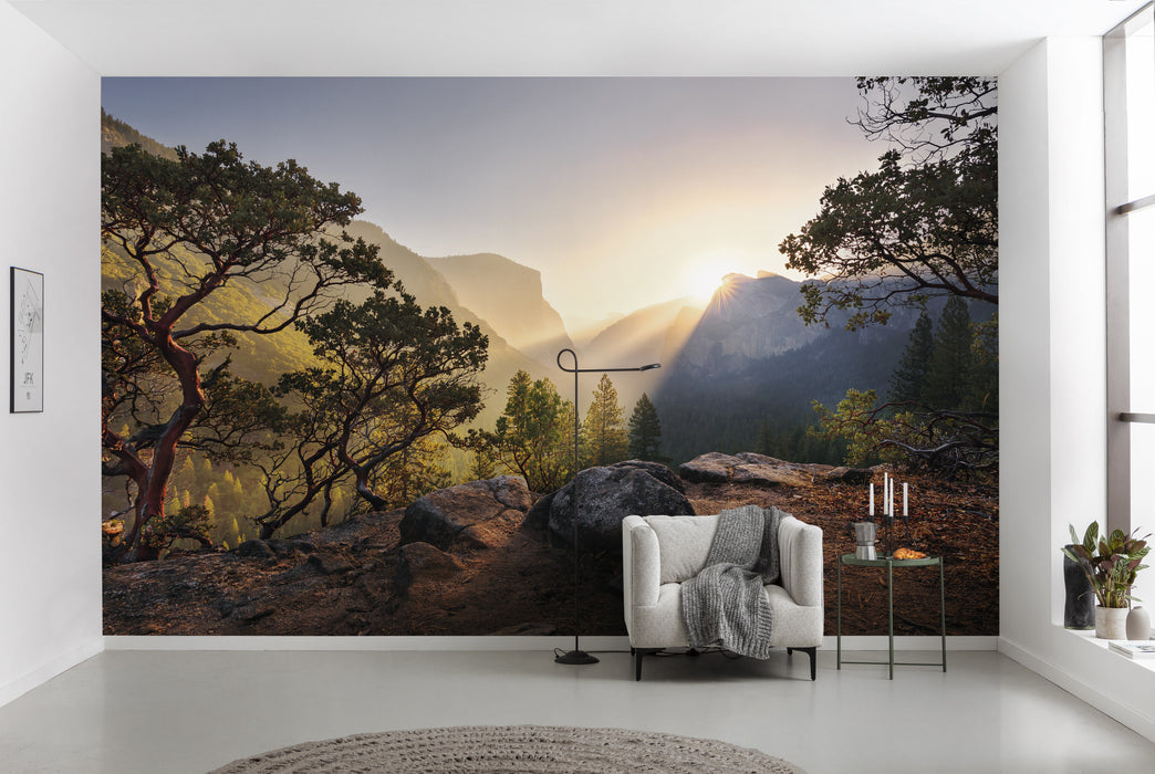 Digitaldruck Vlies Fototapete | Yosemites Secret | 450 x 280 cm