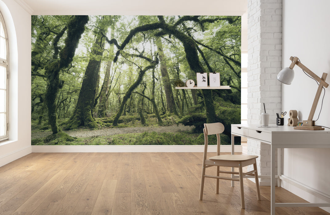Digitaldruck Vlies Fototapete | Ancient Green | 450 x 280 cm