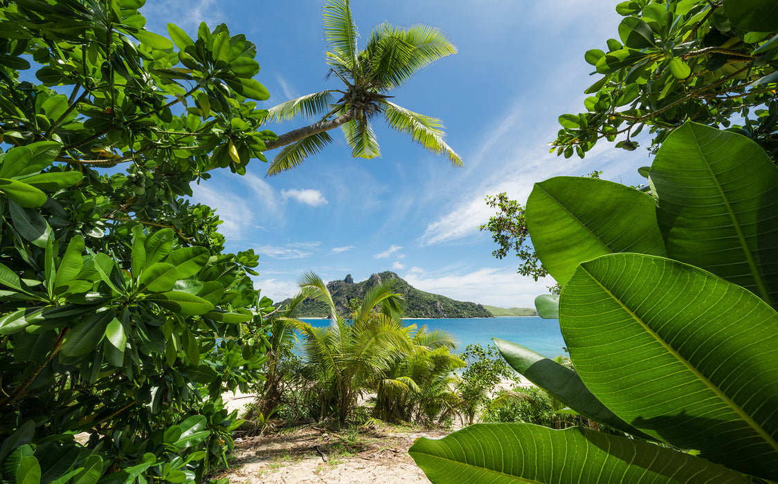 Digitaldruck Vlies Fototapete | Cast Away Jungle | 450 x 280 cm