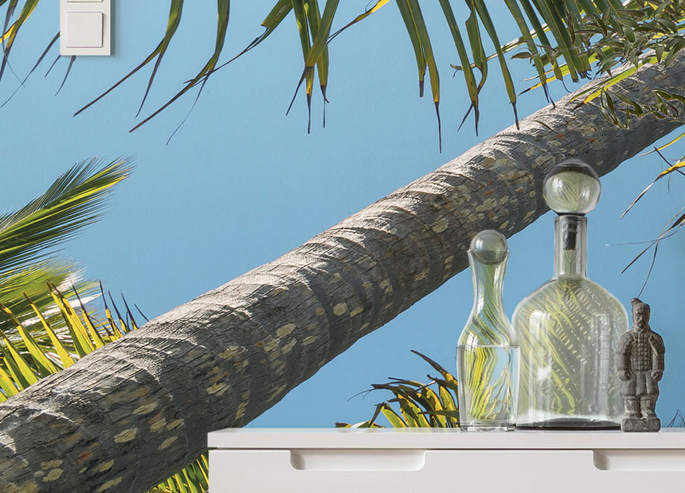 Digitaldruck Vlies Fototapete | Coconut Heaven II | 450 x 280 cm
