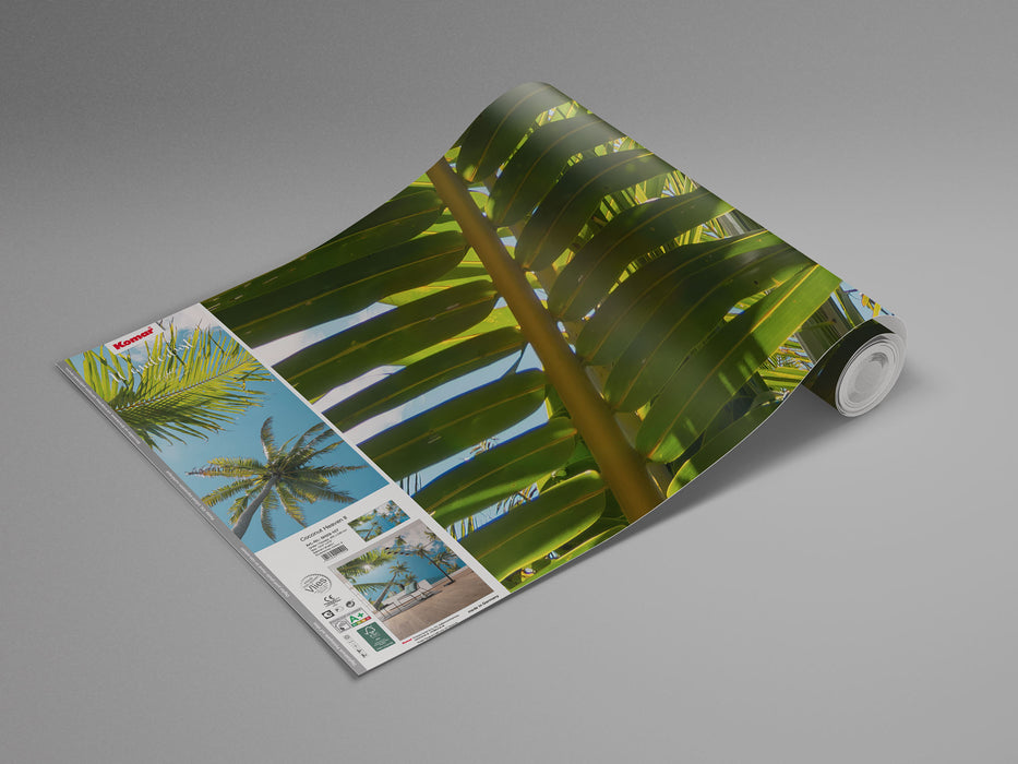 Digitaldruck Vlies Fototapete | Coconut Heaven II | 450 x 280 cm