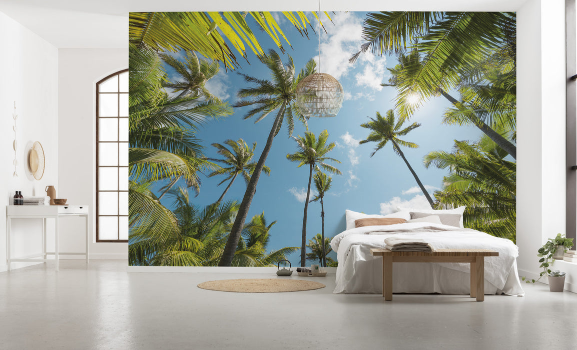 Digitaldruck Vlies Fototapete | Coconut Heaven | 450 x 280 cm